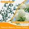 Real Dried Ivory White Hydrangea Flower & Eucalyptus Petals - 3000+ Natural Fragrant Confetti for Wedding, Flower Girl Baskets, Aisle Decor, Scented Sachets, Spring Potpourri Bags, Air Freshener